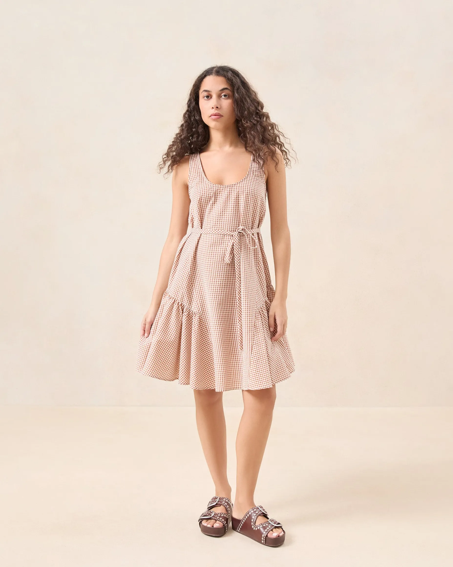 Avi Brown Gingham Swing Dress